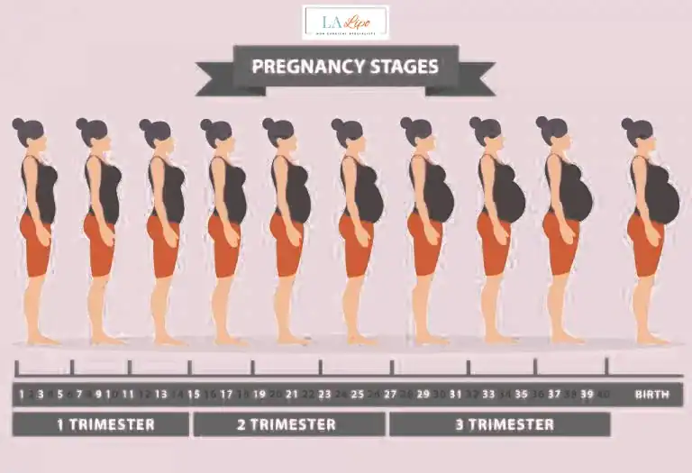 First Trimester (Weeks 1–12): Early Changes You Might Not Notice Kew